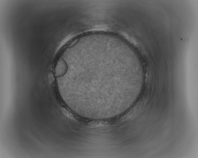 X0000111441400200908101005