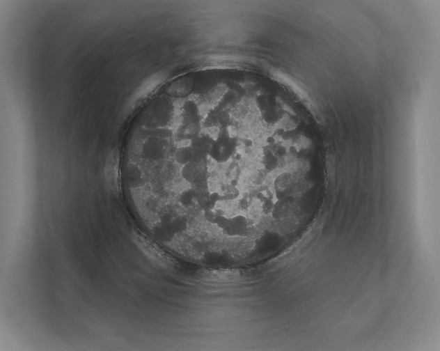 X0000111441403200908101005