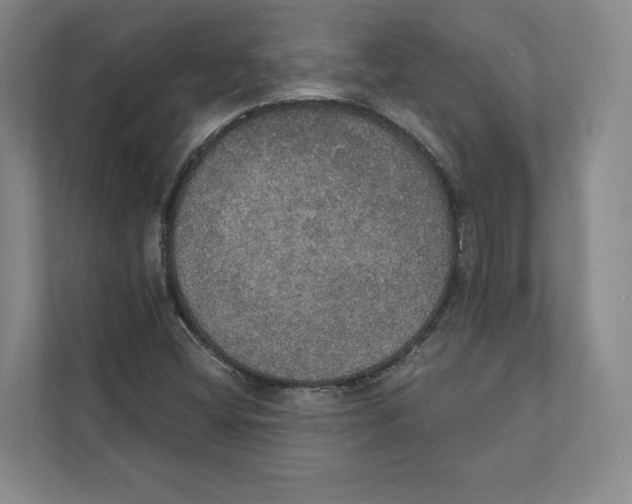 X0000111441404200908101005