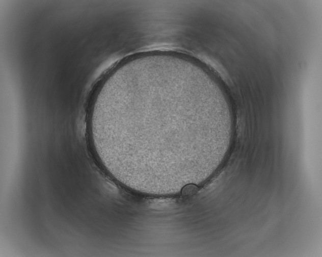 X0000111441406200908101005