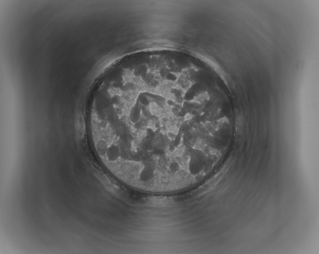 X0000111441407200908101005