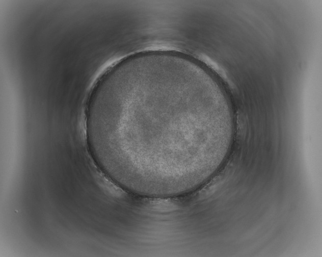 X0000111441408200908101005