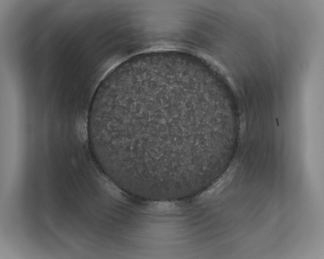 X0000111441409200908101005