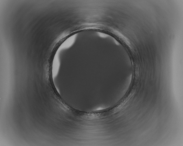 X0000111441411200908101005