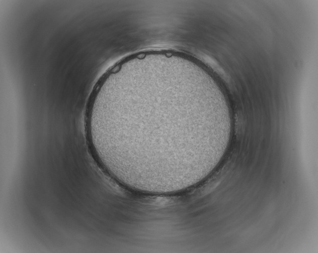 X0000111441412200908101005