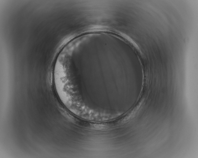 X0000111441413200908101005