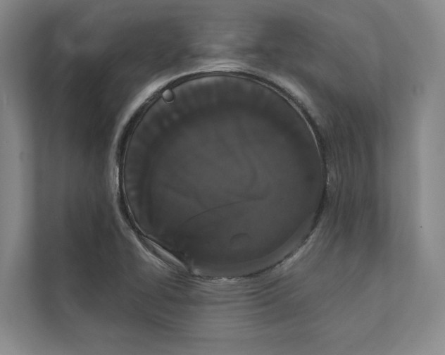 X0000111441414200908101005