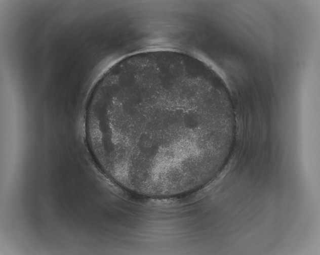 X0000111441415200908101005