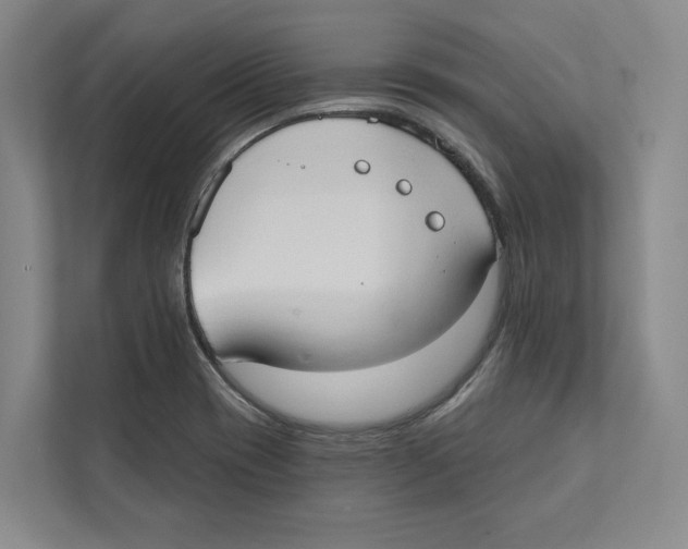 X0000111441417200908101005