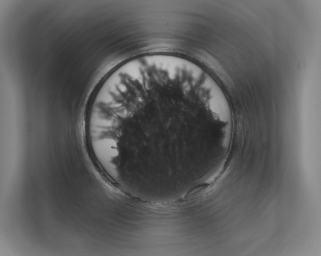 X0000111441418200908101005