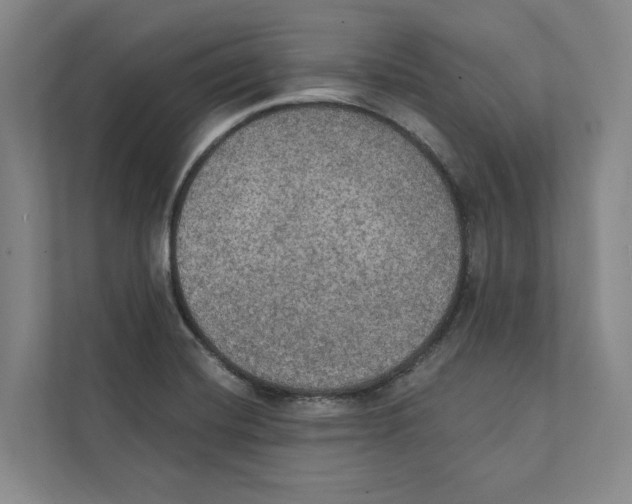 X0000111441420200908101005