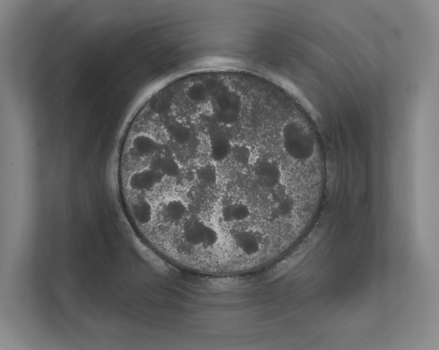 X0000111441421200908101005