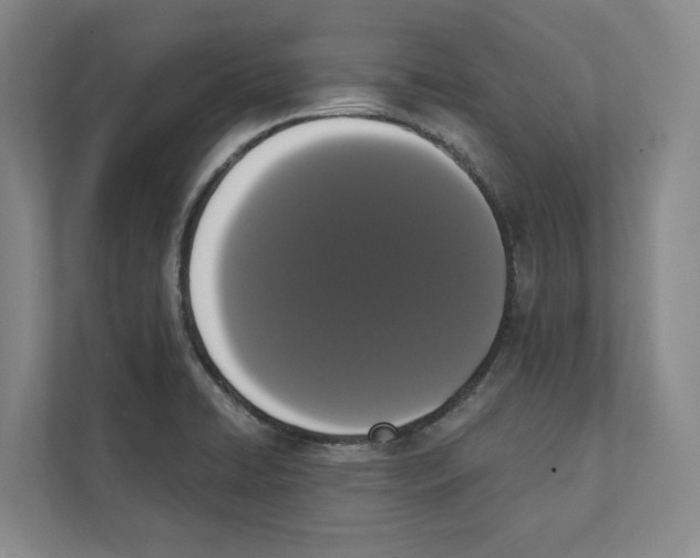 X0000111441422200908101005