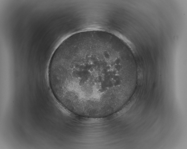 X0000111441423200908101005