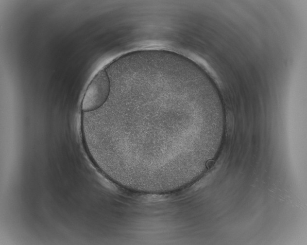 X0000111441424200908101005