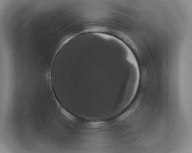 X0000111441425200908101005