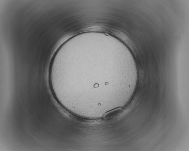 X0000111441426200908101005