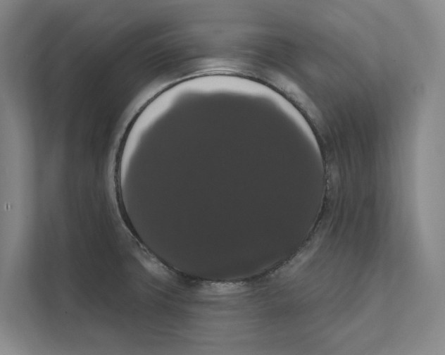 X0000111441427200908101005