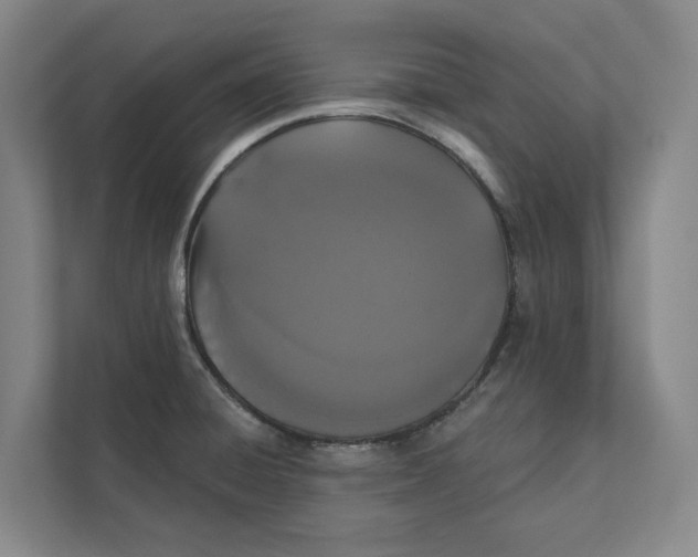 X0000111441428200908101006