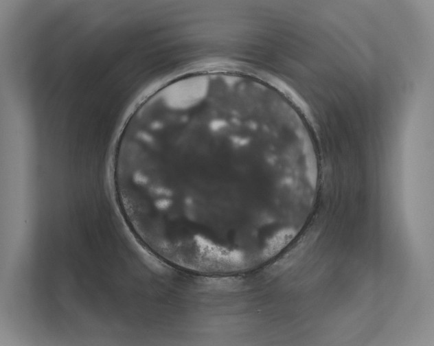 X0000111441429200908101006