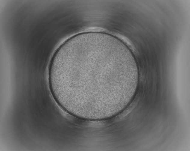 X0000111441430200908101006