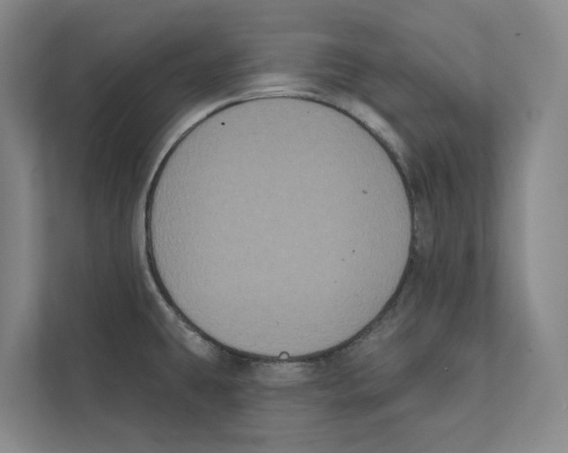 X0000111441431200908101006