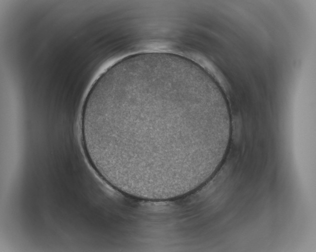 X0000111441432200908101006