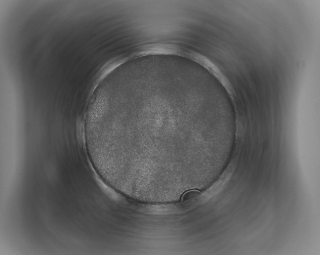 X0000111441433200908101006