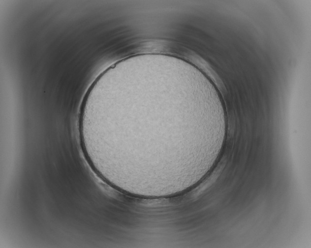 X0000111441434200908101006