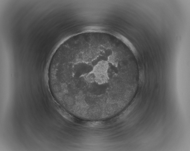 X0000111441435200908101006