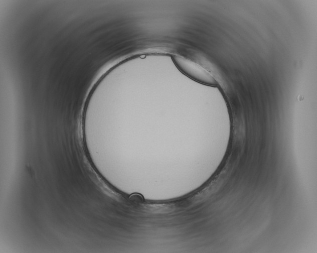 X0000111441436200908101006