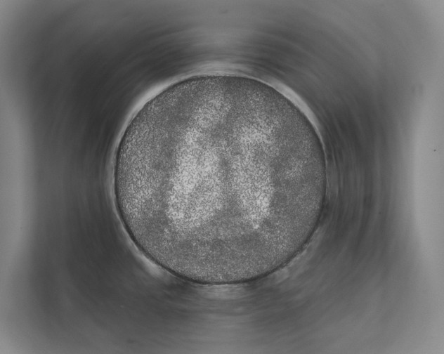 X0000111441437200908101006