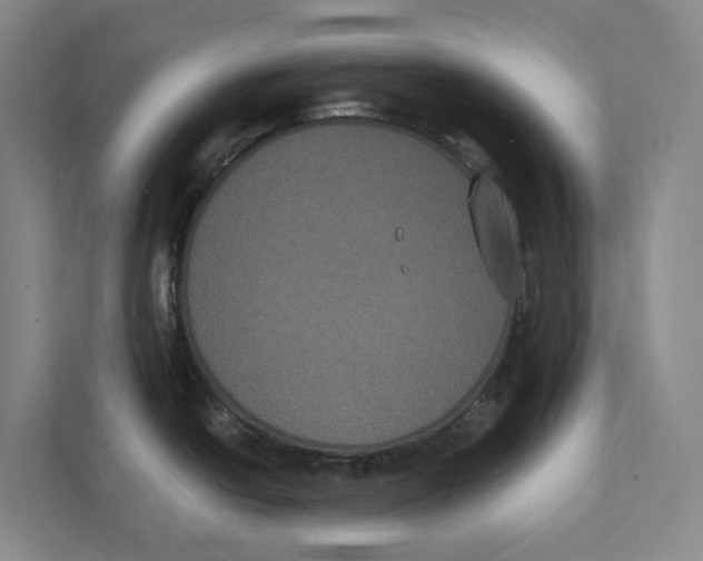 X0000111441438200908101006