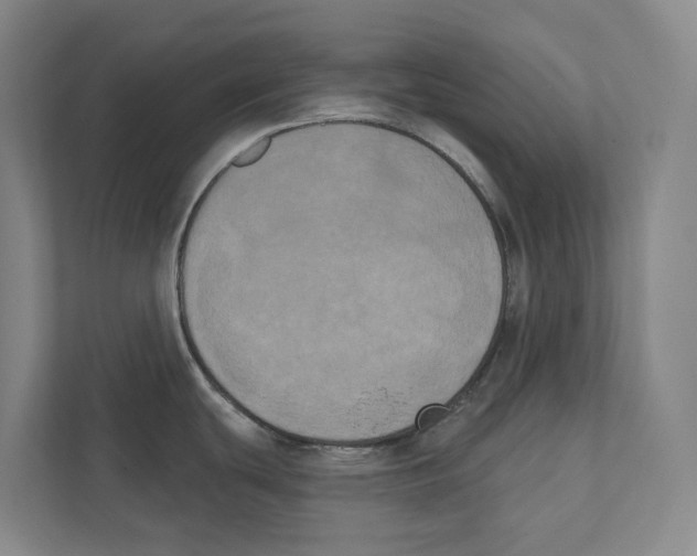 X0000111441439200908101006