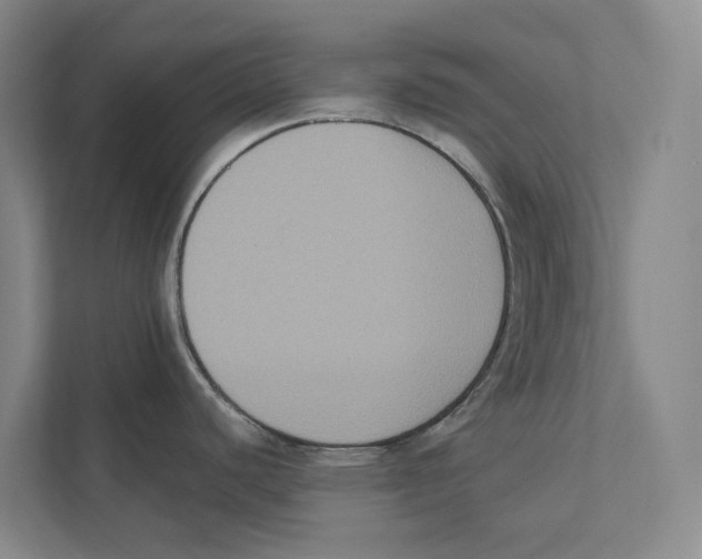 X0000111441440200908101006