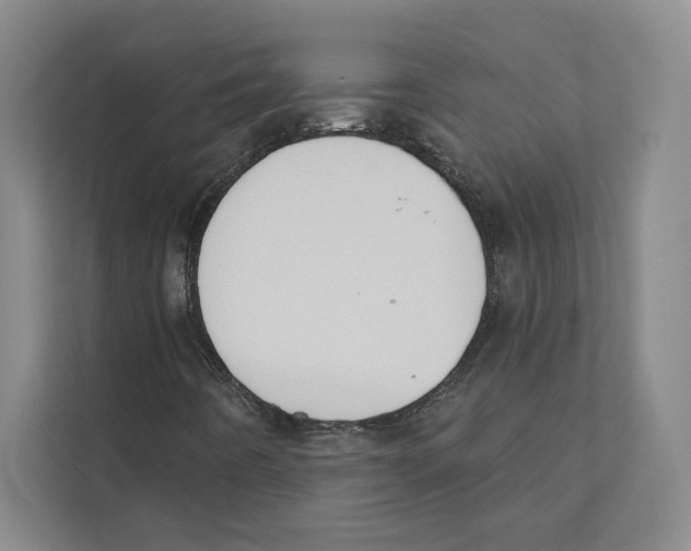 X0000111441442200908101005