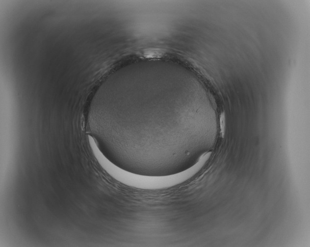 X0000111441443200908101005