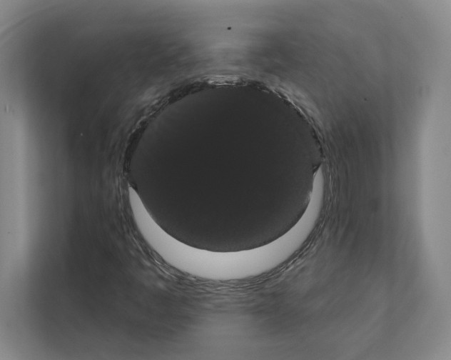 X0000111441445200908101005