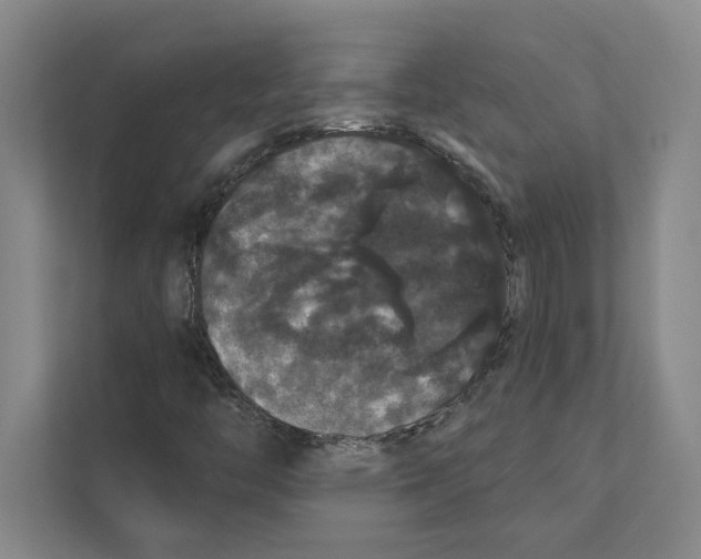 X0000111441446200908101005