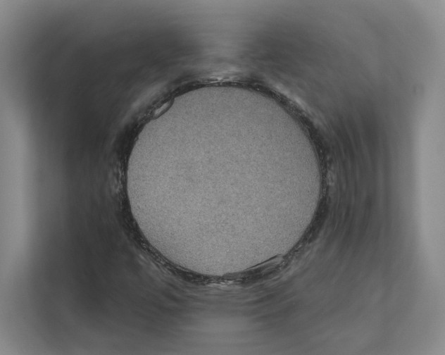 X0000111441447200908101005