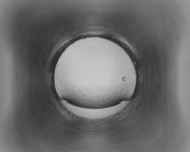 X0000111441448200908101005