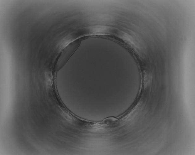 X0000111441449200908101005