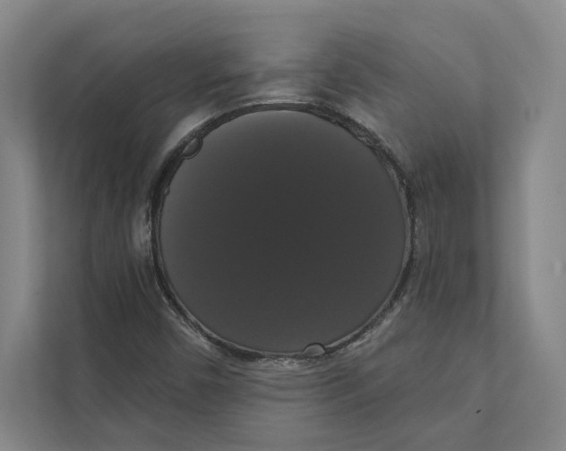 X0000111441450200908101005