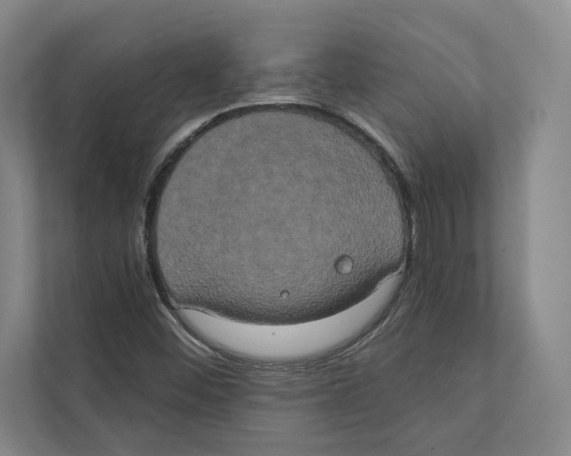 X0000111441452200908101005