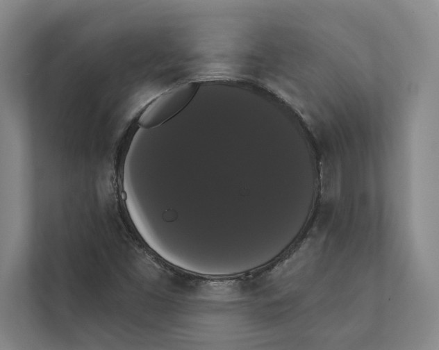 X0000111441453200908101005