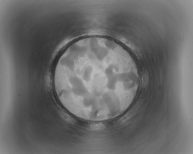 X0000111441454200908101005