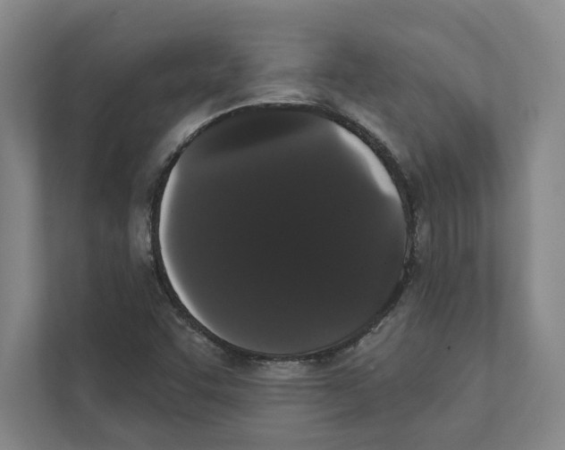 X0000111441455200908101005