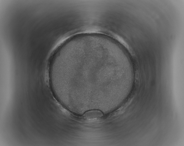 X0000111441456200908101005