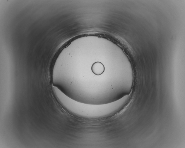 X0000111441457200908101005