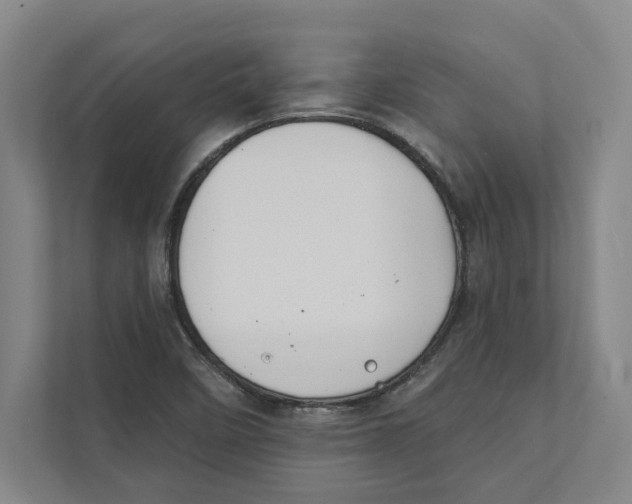 X0000111441458200908101005